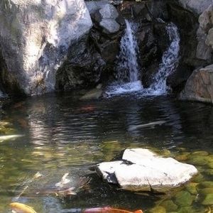 Meet your Posher, Sonny